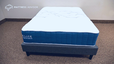 Bear Elite Hybrid Mattress Review (2023) - Personally Tested